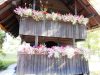 1_DSCN0146