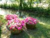 1_DSCN0160