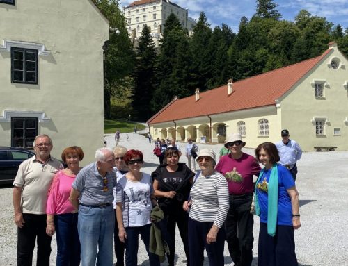 POGLEJ V GALERIJO SLIK