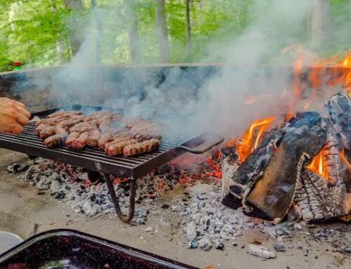 PIKNIK NA ŠRC LOPATA